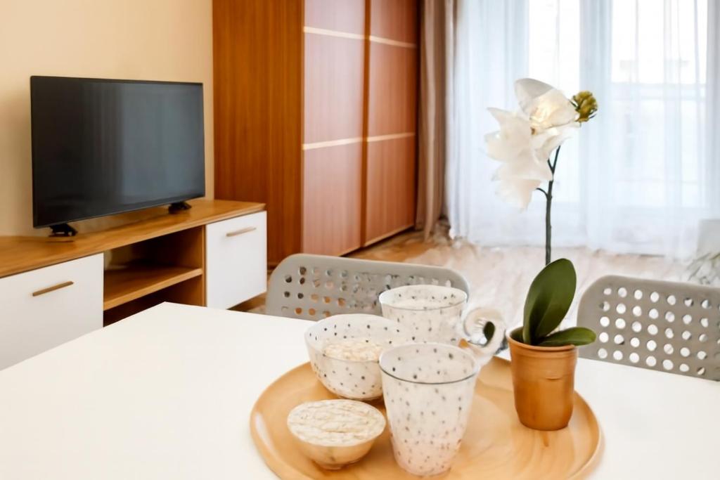 Μια τηλεόραση ή/και κέντρο ψυχαγωγίας στο Apartament z Garażem blisko Lotniska