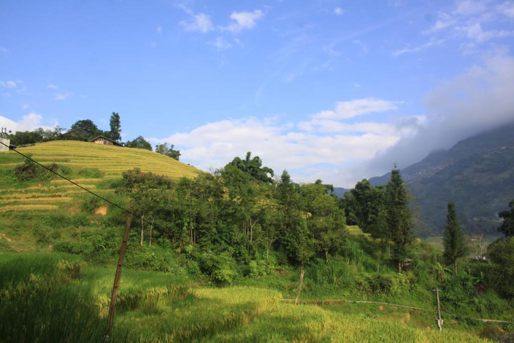 SaPa Big Tree Hmong Homestay - 3