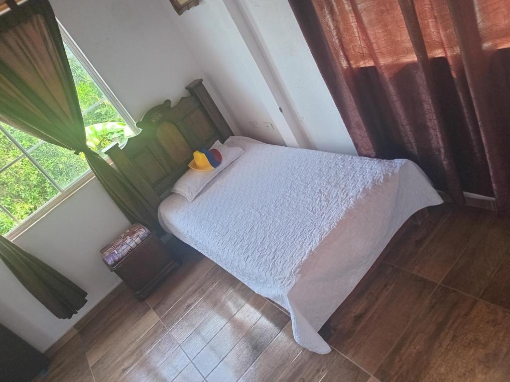 Gallery image of Trekkers haven Enjoy Colombia Ecoliving in Piedecuesta