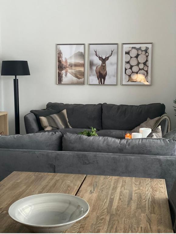 a living room with a gray couch and a table at Sälen Vintergatan 744 Lindvallen in Sälen
