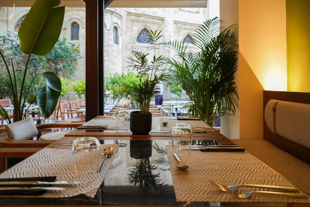 Centro Vero Suites by Omilos Hotels - 13