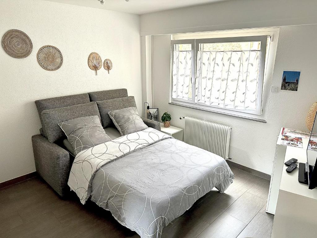 une chambre avec un lit et une fenêtre dans l'établissement Studio Cosy Centre ville, à Wissembourg