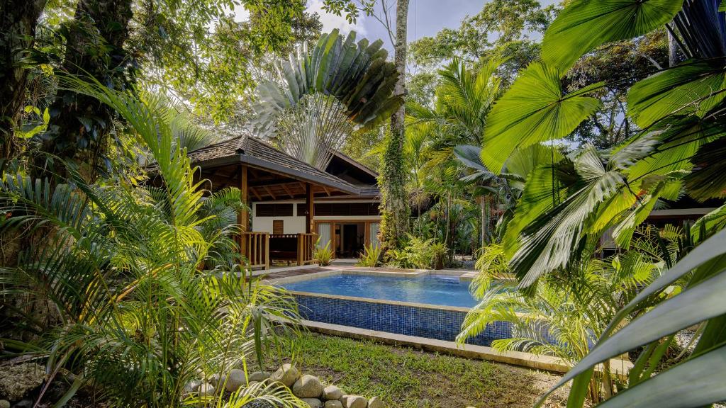 una casa en la selva con piscina en BODHI House, en Punta Uva