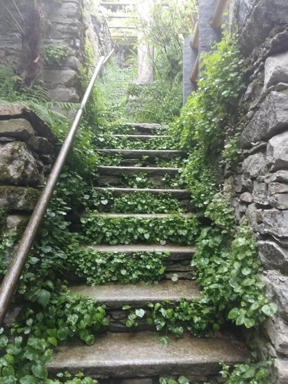 Foto sihtkohas Locarno asuva majutusasutuse Casa Grillino galeriist