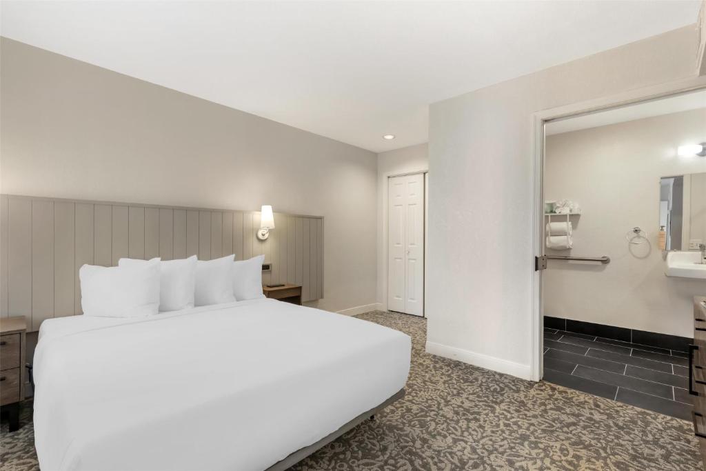 Sonesta ES Suites Dulles Airport photo