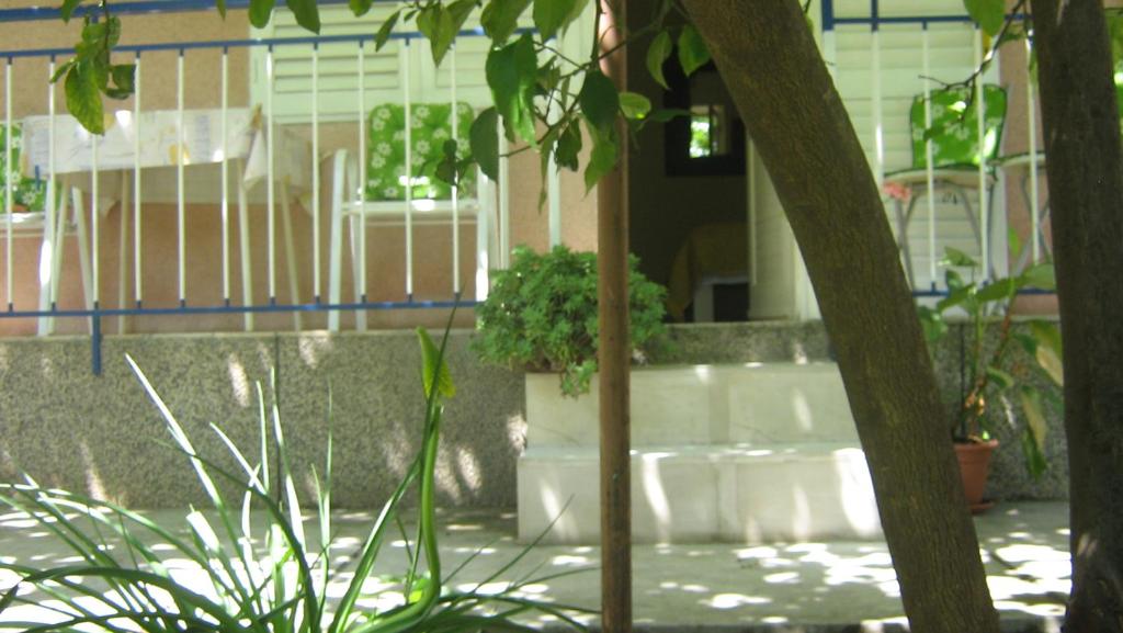 Zahrada ubytování Apartment and rooms Laguna