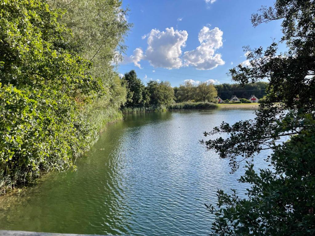 a view of a river with trees on the side at Lake-nature Villa 3 Bedrooms, Sleeps 7 in Ewijk