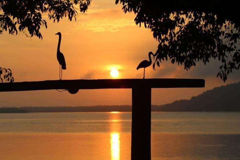 two birds standing on a pole with the sunset in the background at Studio Funcional in Guaraqueçaba