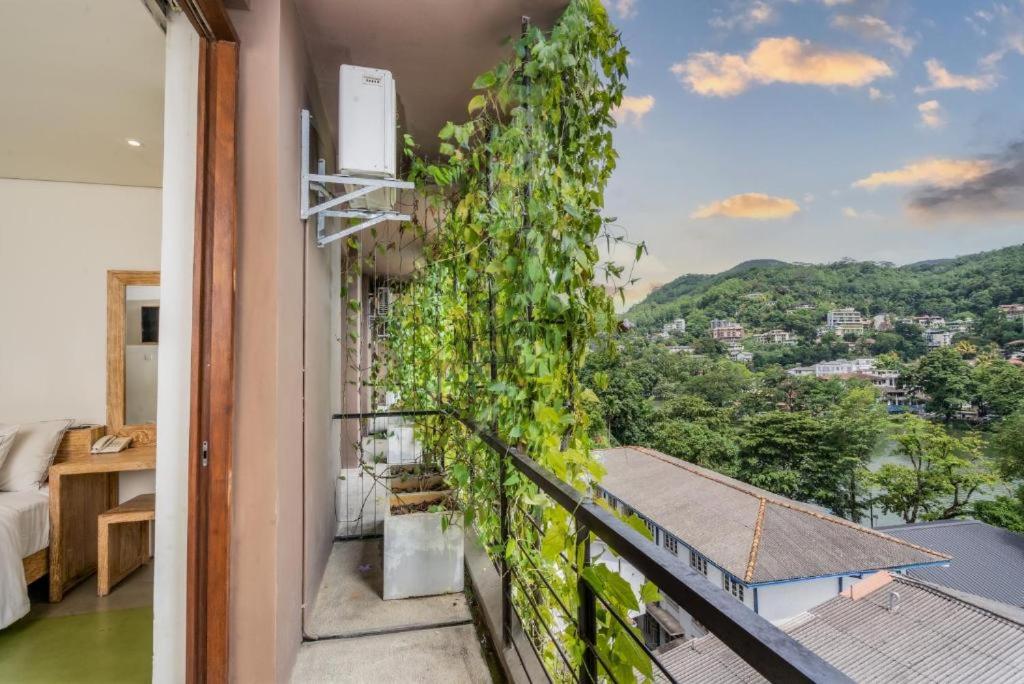 Lake Avenue Hotel Kandy - 15