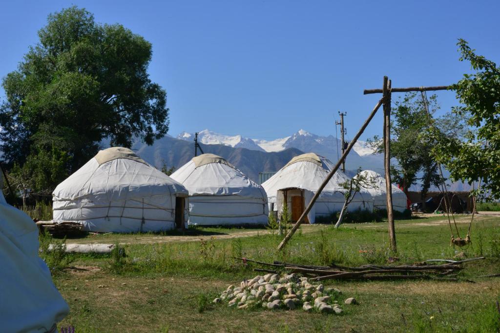 un groupe de tentes avec des montagnes en arrière-plan dans l'établissement Jurten Camp Almaluu, à Tong