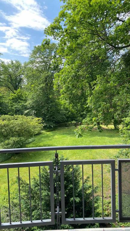 a fence with a view of a field and trees at Helle Wohnung am Waldpark in Dresden