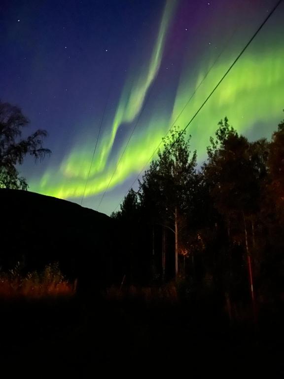 una imagen de la aurora boreal en el cielo en Hytte i vakre Reisadalen, en Storslett