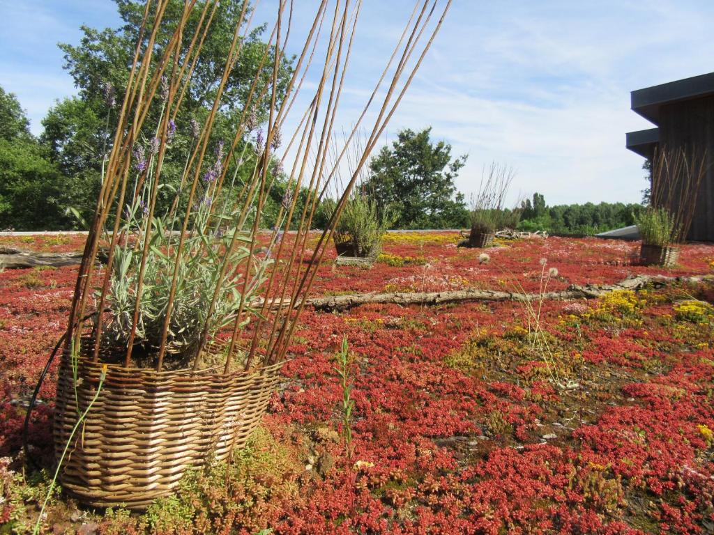Zahrada ubytování D'une Autre Nature