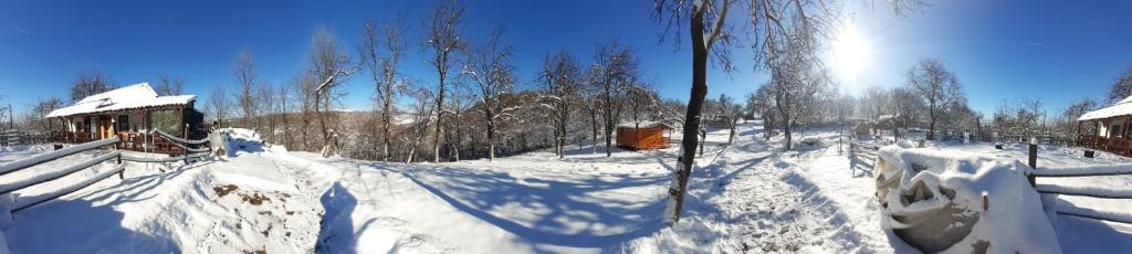 a snow covered yard with a house and trees at White River in Rîu Alb de Jos