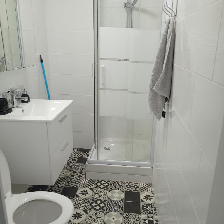 een badkamer met een douche, een toilet en een wastafel bij Maison agreable in Blois