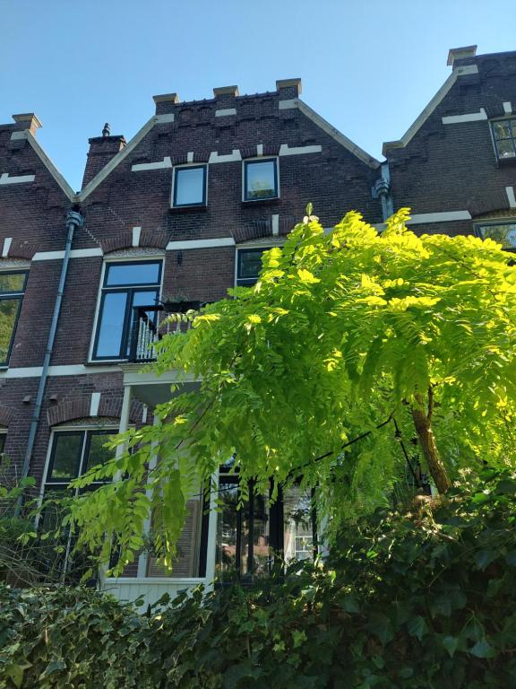 un edificio con un árbol delante en Historic townhouse 5 bedrooms, en Dordrecht