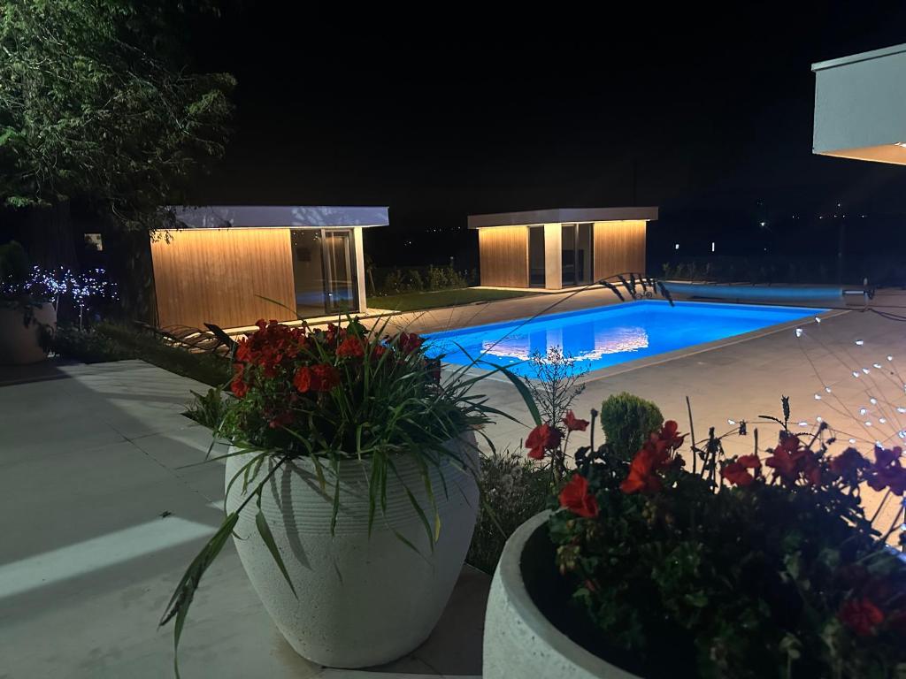 a swimming pool at night with two large pots of flowers at Elysium3 in Banja Luka