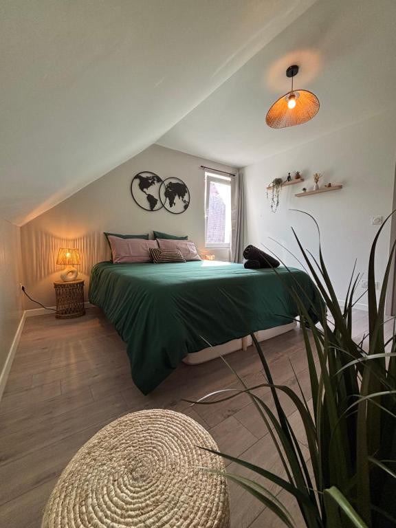 Le Col'Vert - Appartement 50m2 - Colmar Centre – photo 2
