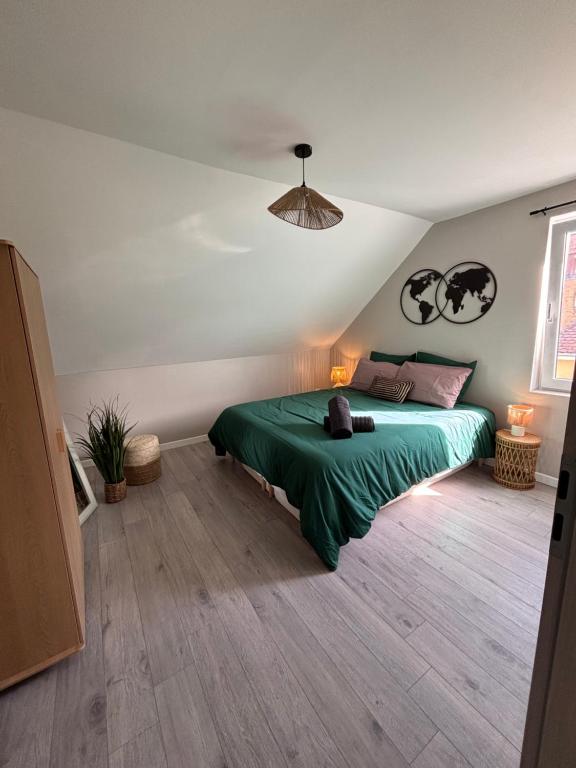Le Col'Vert - Appartement 50m2 - Colmar Centre – photo 10