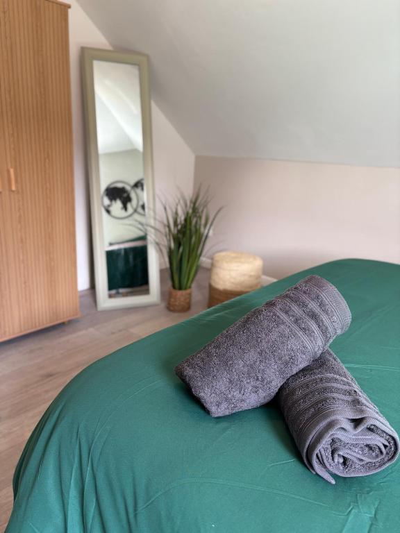 Le Col'Vert - Appartement 50m2 - Colmar Centre – photo 9