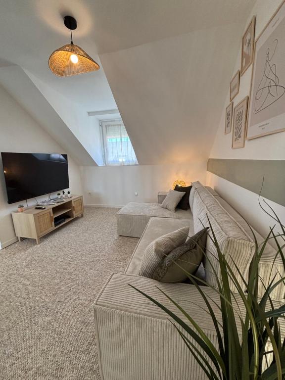 Le Col'Vert - Appartement 50m2 - Colmar Centre – photo 5