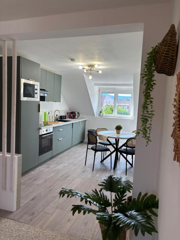 Le Col'Vert - Appartement 50m2 - Colmar Centre – photo 1