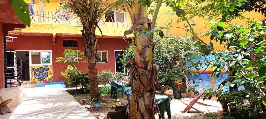 una casa con un árbol y un edificio con grafitis en Zion, en Toubab Dialaw