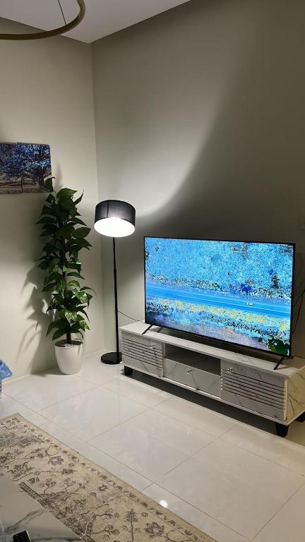 Et tv og/eller underholdning på Apartment Room Lounge & Bathroom