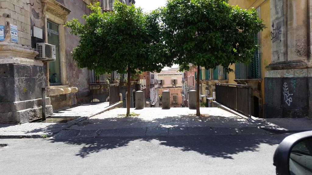 un callejón con dos árboles en medio de una calle en La Salita Di San Camillo, en Catania