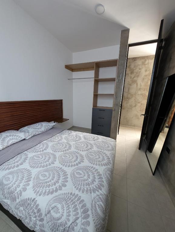 a bedroom with a large bed and a closet at Departamentos San Marcos in Aguascalientes