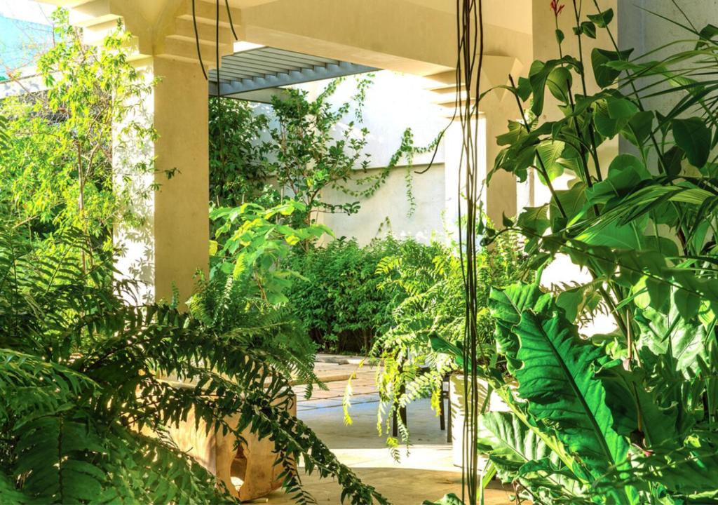 un jardín con muchas plantas en un edificio en El Pueblo Mérida, en Mérida
