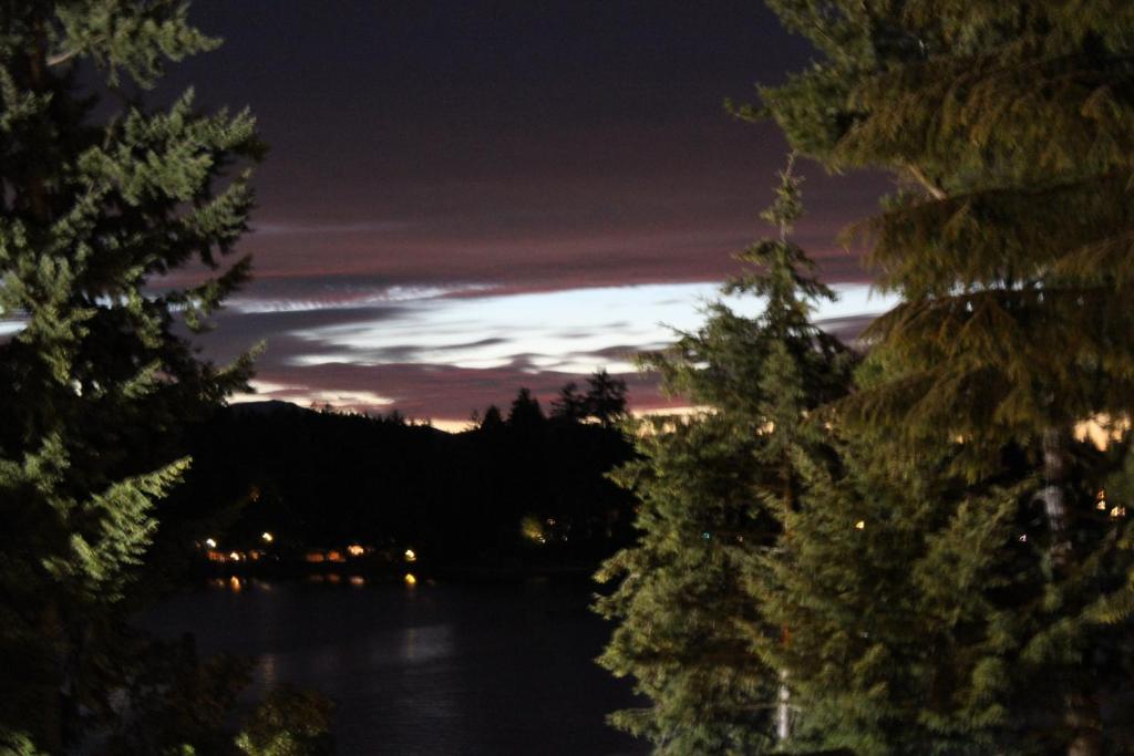 uitzicht op een meer in de nacht met bomen bij Oyster Bay Inn & Suites in Bremerton