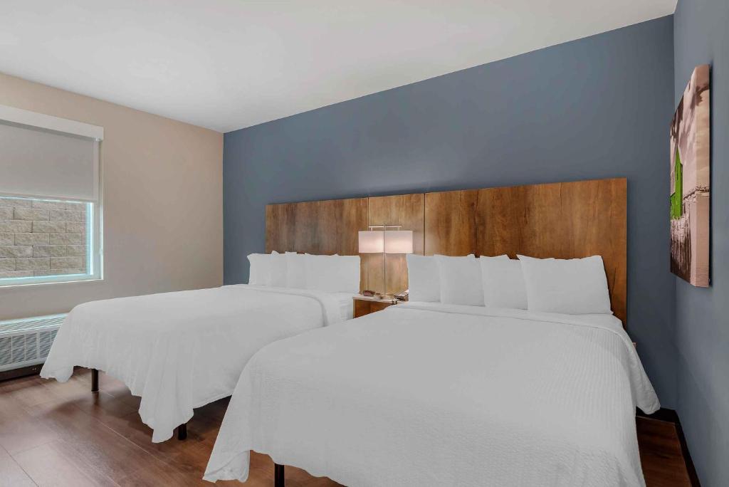 Extended Stay America Premier Suites - Charlottesville photo