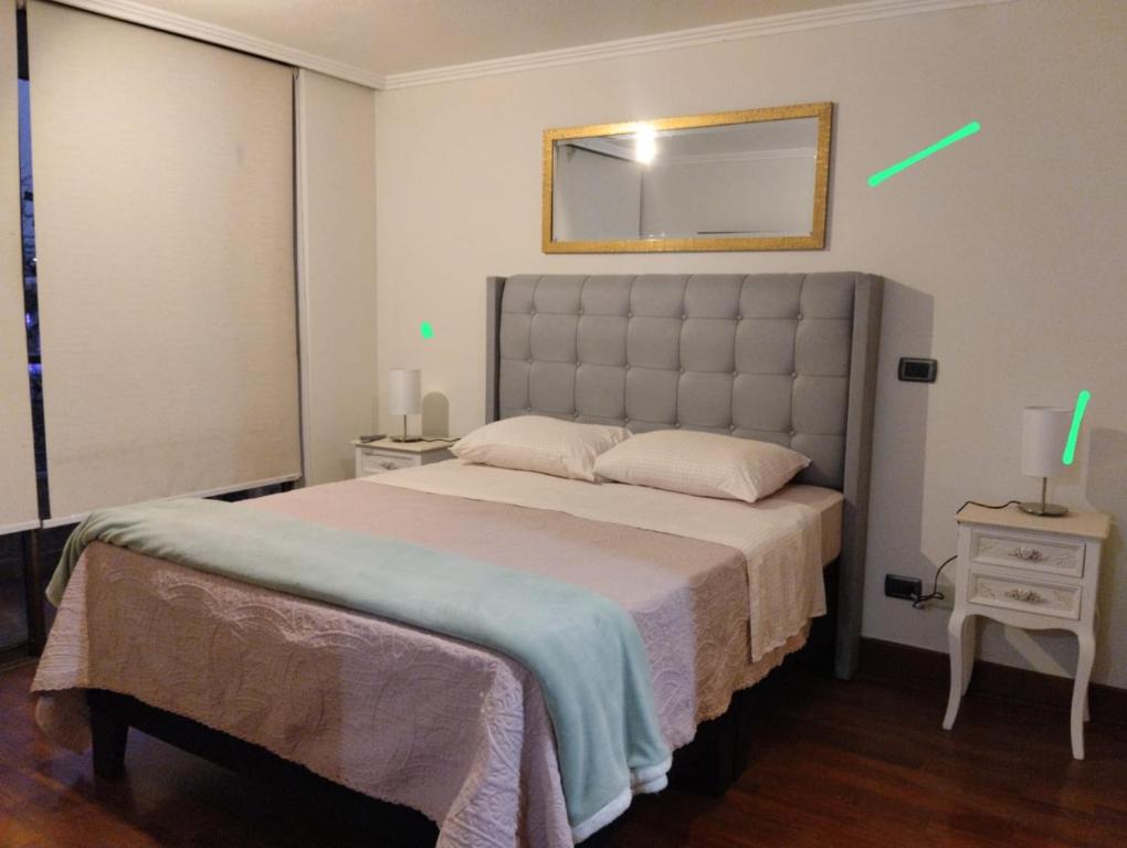 a bedroom with a large bed with a mirror on the wall at Apartamento 1D 1 B Metro Manuel Montt in Santiago