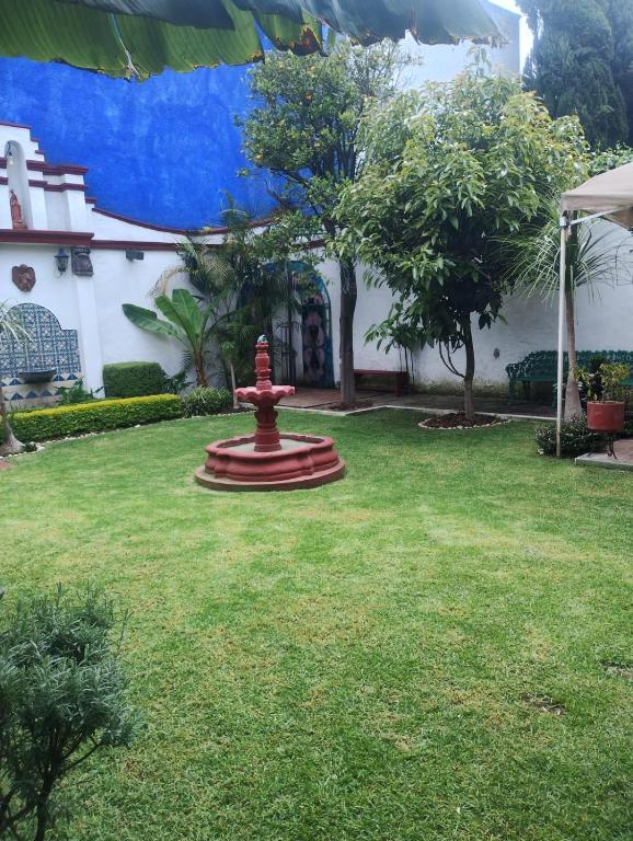a fire hydrant in the middle of a yard at La casa del Jardín in Mexico City