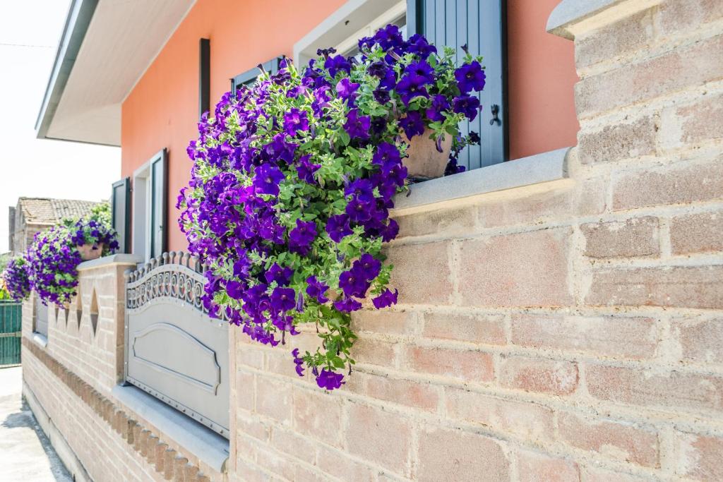 Fotografie z fotogalerie ubytování Borgo Dragani v destinaci Ortona