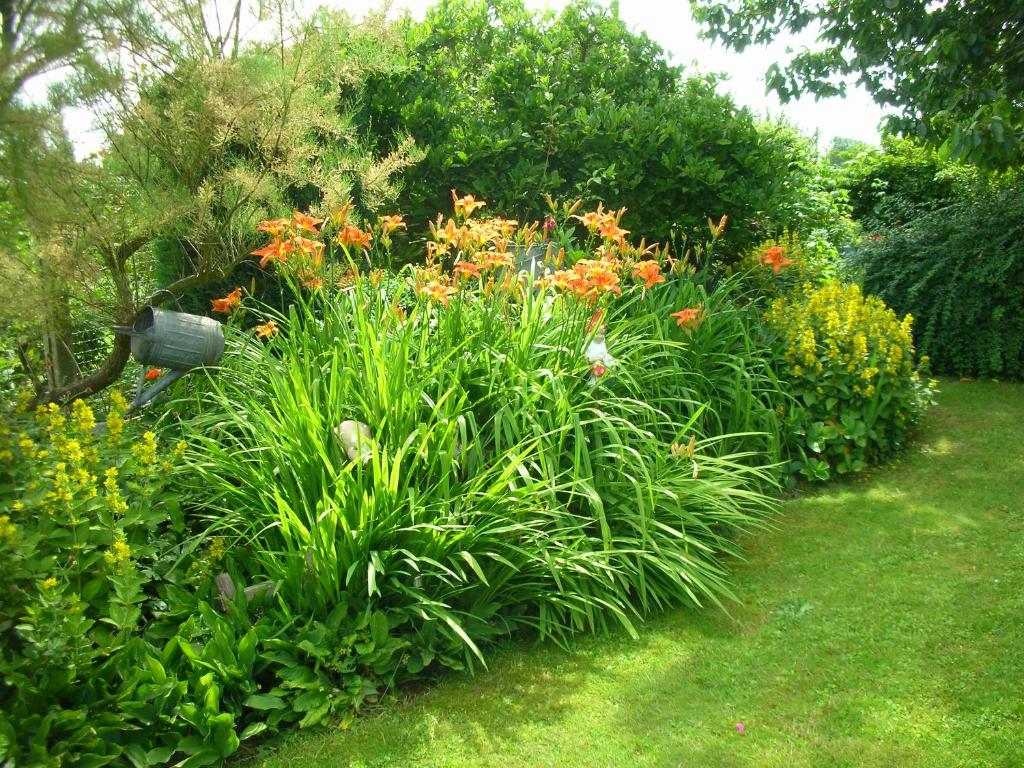 Un jardín fuera de La Chrysalide