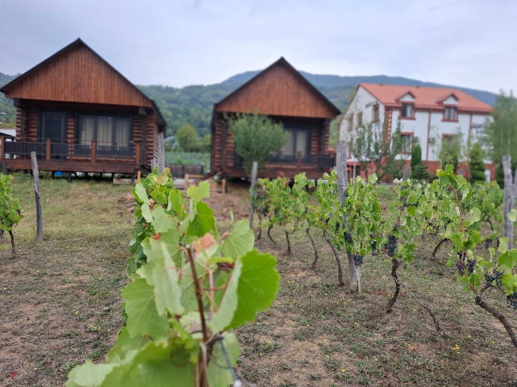 Afbeelding uit fotogalerij van Karse in Ambrolauri
