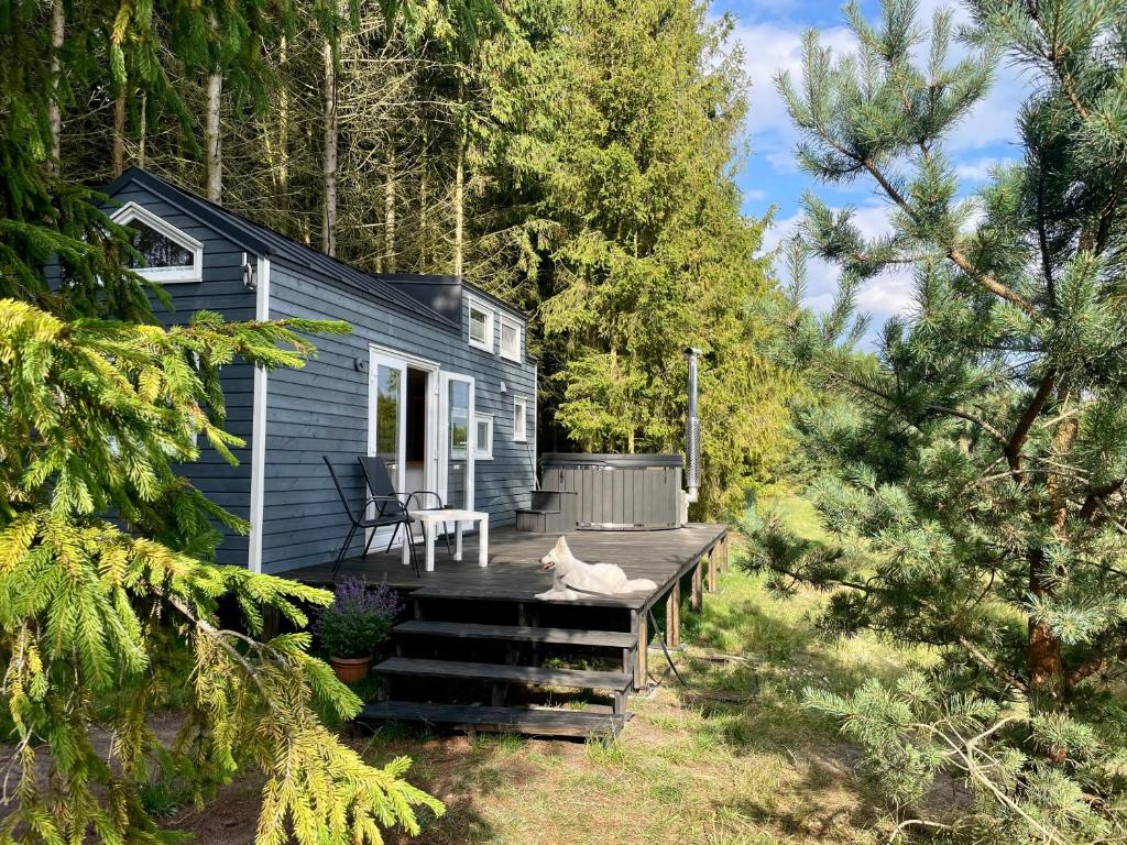 a blue tiny house with a cat laying on the deck at Leśne Siedlisko Wygonin in Wygonin