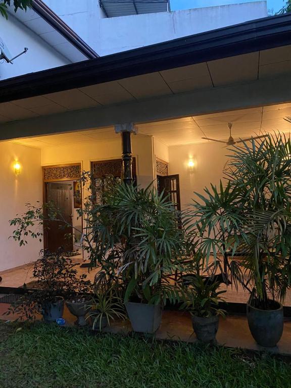 a house with potted plants in front of it at Unawatuna House in Unawatuna