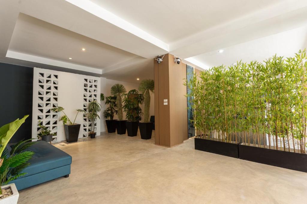 XL PATONG Hotel - Resim 5