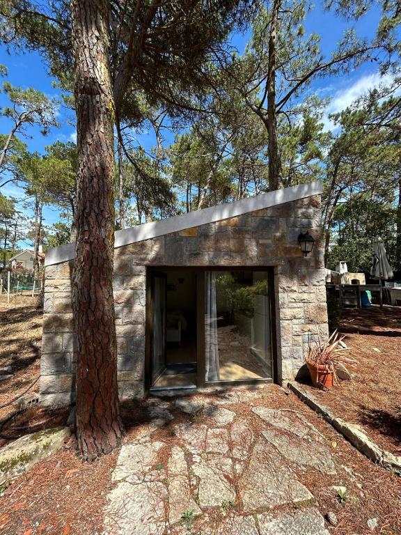 a stone house with a large window next to a tree at Refúgio da Âncora in Colares