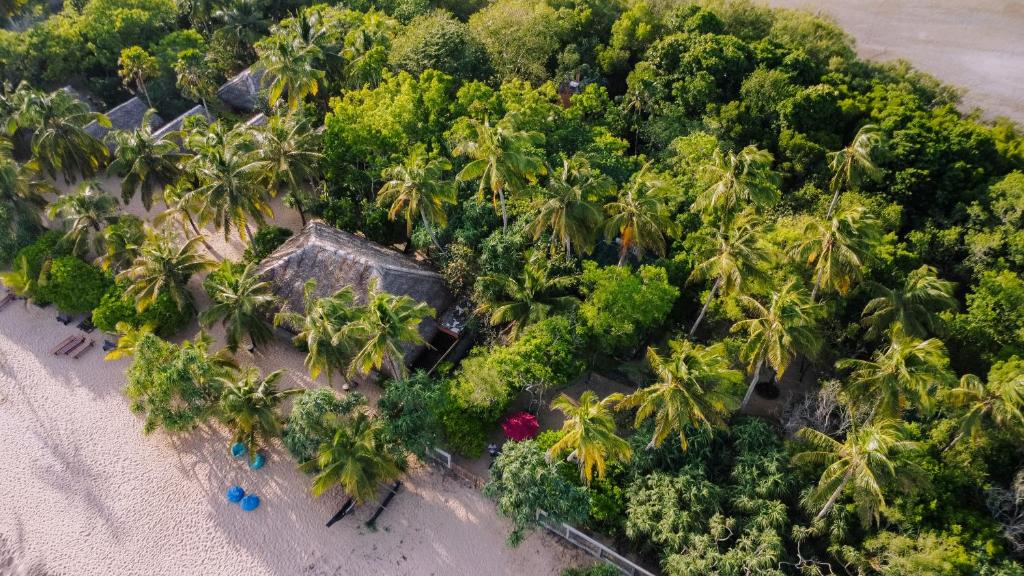 an aerial view of a beach with palm trees at The Waves Beach Chalets in Tangalle