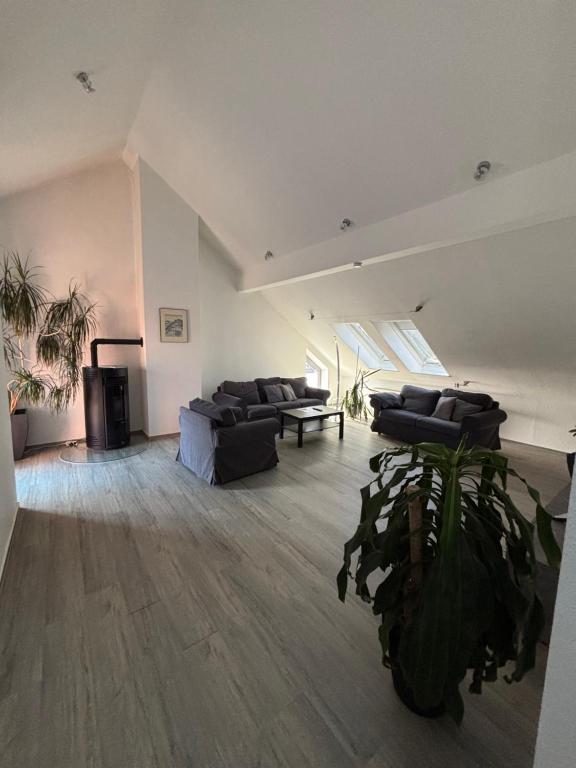 a large living room with couches and a plant at Ferienwohnung am Flughafen in Braunschweig