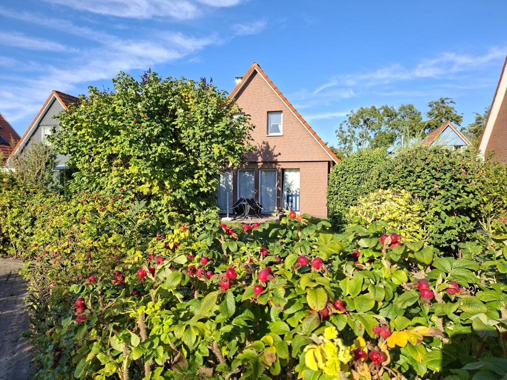 a house with a bunch of flowers in the yard at Gundi's Ferienhaus in Dorum-Neufeld