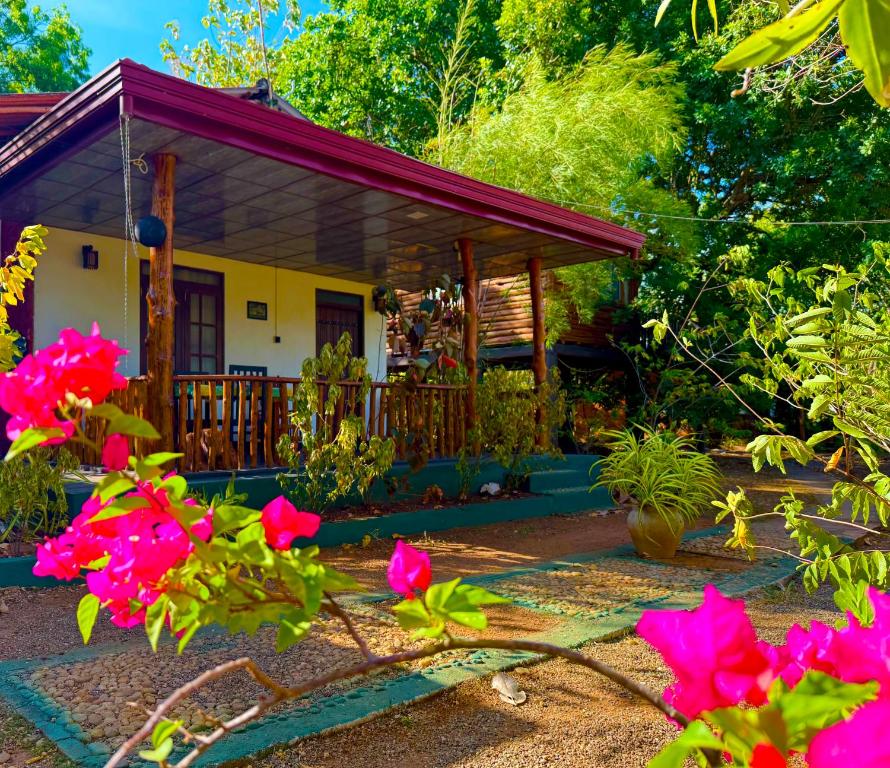 La Casa Safari Resort - 9