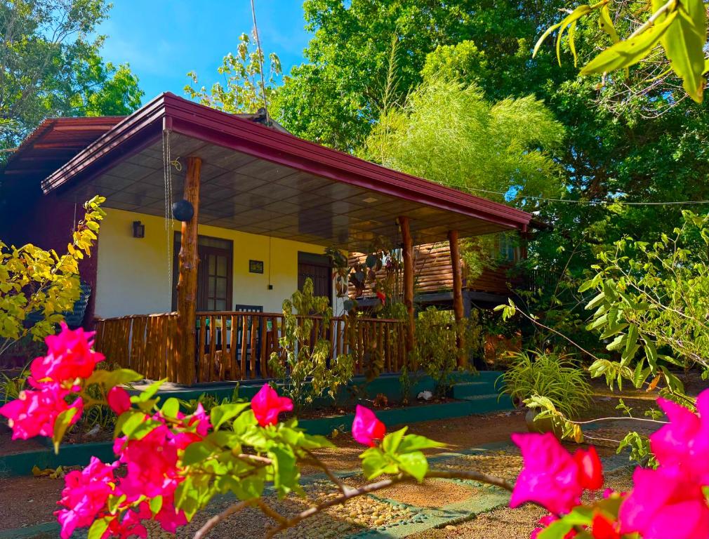 La Casa Safari Resort - 10