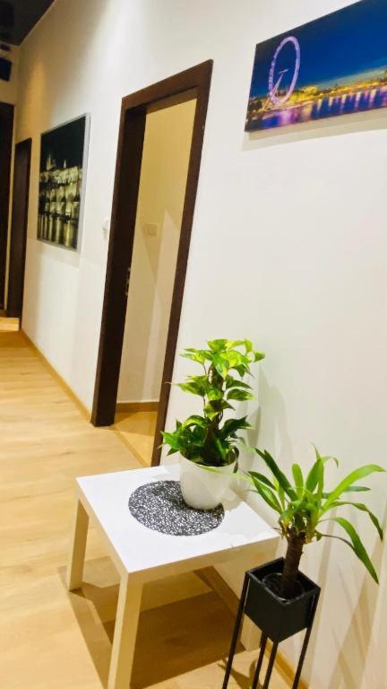 Private room in the Centre - Resim 12