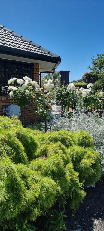 Rosandra Retreat - Resim 9