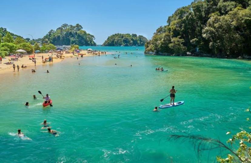 a group of people in the water at a beach at Sunny flat 5 minute walk to town in Motueka